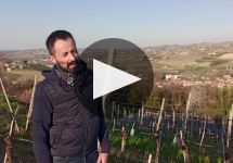 Sottimano Winery Video