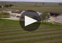 Chateau La Freynelle Winery Video