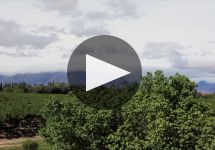 El Porvenir de Cafayate Winery Video