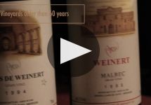 Bodegas Weinert Winery Video