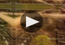 Santa Julia Winery Video