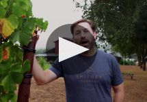 Arista Winery Winery Video