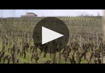 Chateau Clos Haut Peyraguey Winery Video