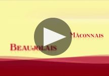 Louis Jadot Winery Video