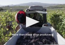 Col d'Orcia Winery Video