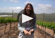 Shiloh Winery Winery Video