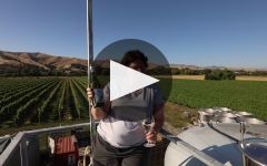 Frenzy Winery Video