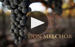Don Melchor Winery Video
