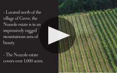 Tenuta di Nozzole Winery Video