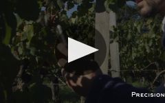 Chateau Paloumey Château Paloumey Winery Video