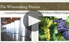 SYLTBAR Winery Video