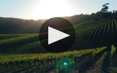 Maggy Hawk Winery Video