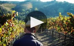 Adelaida Winery Winery Video