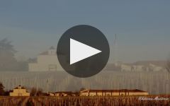 Chateau Montrose  Winery Video