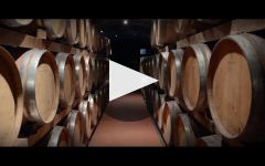 Piccini Winery Video