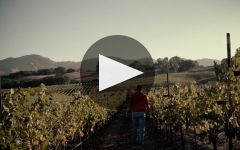 Arrowood Vineyards & Winery Arrowood Well Farmed  Winery Video