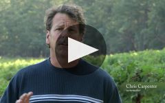 Cardinale  Winery Video