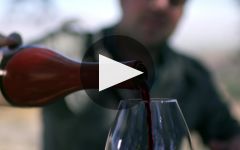 Belle Glos Winery Video