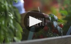 Natura Winery Video