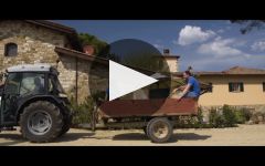 Viticcio Winery Video