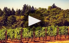 Firesteed  Winery Video