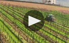 J. Hofstatter Winery Video