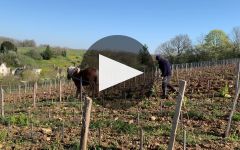 Tania et Vincent Careme Winery Video