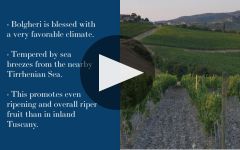 Campo Al Mare Winery Video