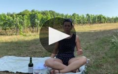 Chteau Haut-Monplaisir Winery Video