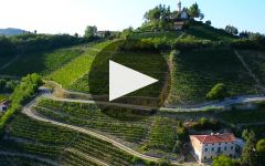 Stella Rosa Stella Rosa Vineyard and Facility Winery Video