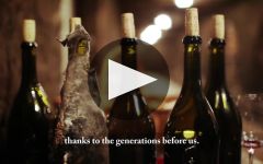 Domaine Tollot-Beaut Winery Video