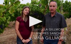 Gillmore Winery Video