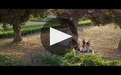 One Stone Cellars  Winery Video