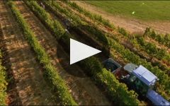 Mercer Estates Winery Video