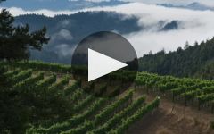 Fort Ross Vineyard Winery Video