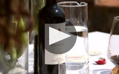 Carpineta Fontalpino Winery Video