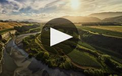 Nautilus Estate Winery Video