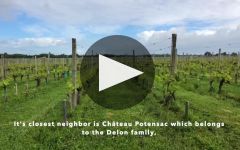 Chateau Blaignan Winery Video