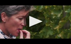 Jules Taylor Winery Video