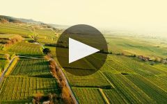 Markus Huber Winery Video