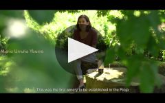 Contino Winery Video