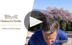 Chateau La Nerthe Winery Video