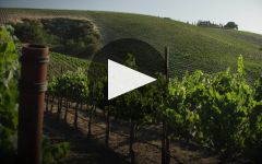 San Simeon Winery Video