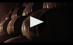 Jose Cuervo Winery Video