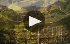 Donnhoff Winery Video