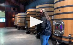 Angeline Winery Video