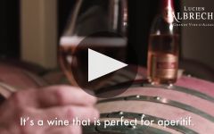 Lucien Albrecht Winery Video