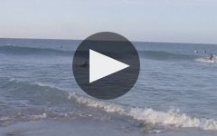 818 Tequila Winery Video