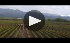 El Esteco Winery Video