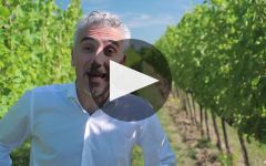 Torresella Winery Video